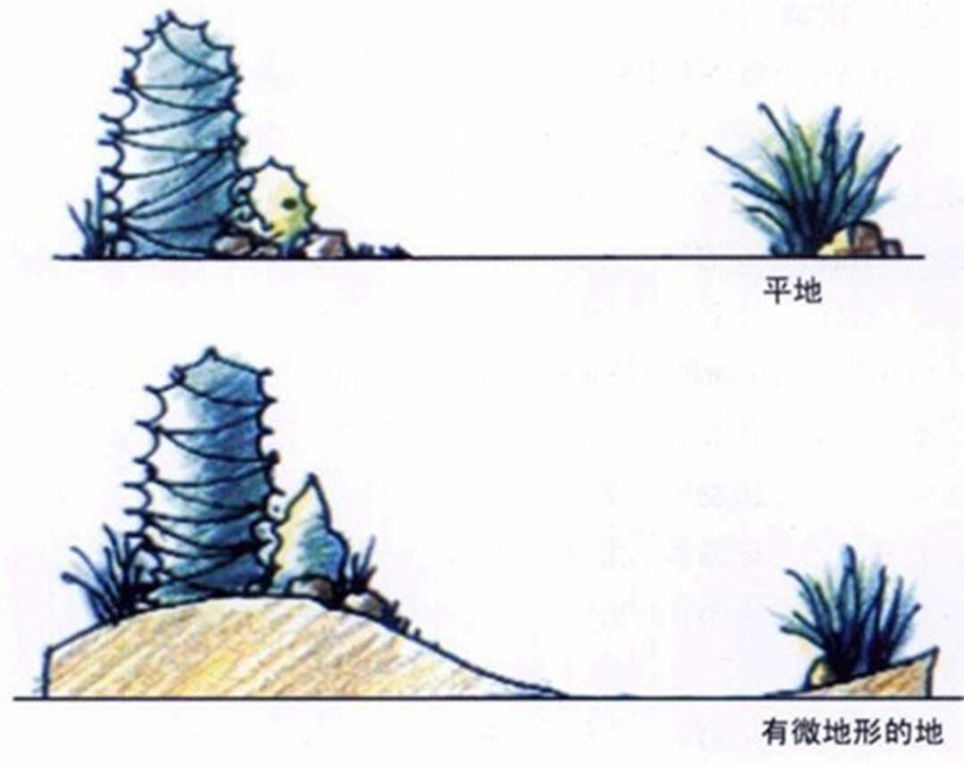 私人庭院园林绿化工程地形设计