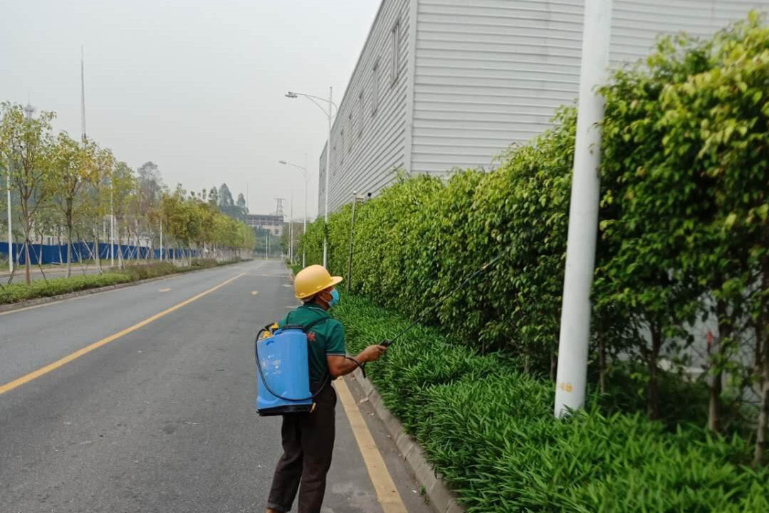 绿化养护打药除虫