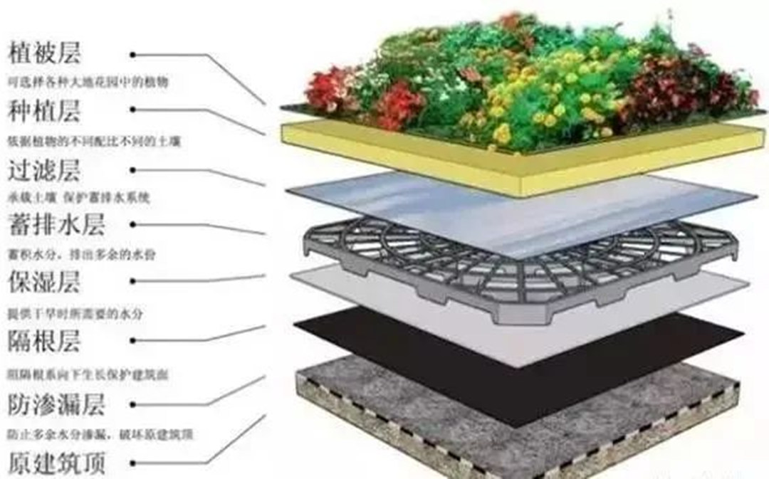 屋顶花园绿化工程的莳植基本构层